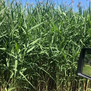 Meet your Posher, Mackenzie